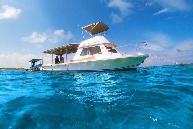 Ultimate 5x1 Combo with ATV, Ziplines, Cenote & Reef Snorkeling - Price and Value: What $114 Really Buys