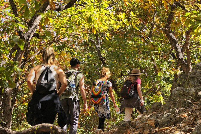 Ultimate Hierve el Agua Hike + Mezcal - Lunch and mezcal: Jeronimo and the family distillery side