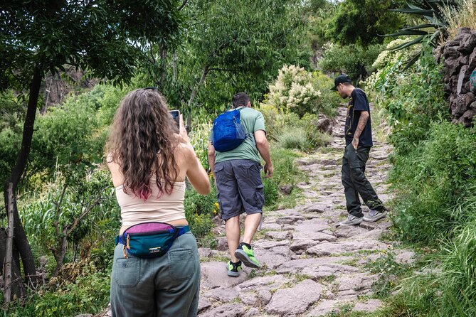 Unique cablecar experience, pulque tasting &unbeatable views - Pricing and time, what $35 buys you