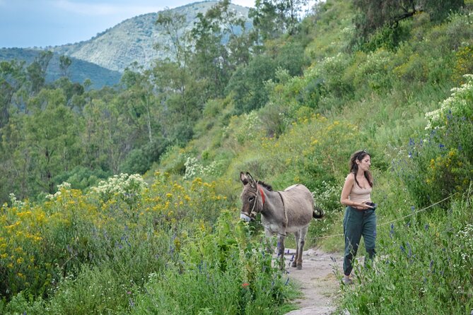 Unique cablecar experience, pulque tasting &unbeatable views - The surprise value: VW-style ride, local markets, and small food moments