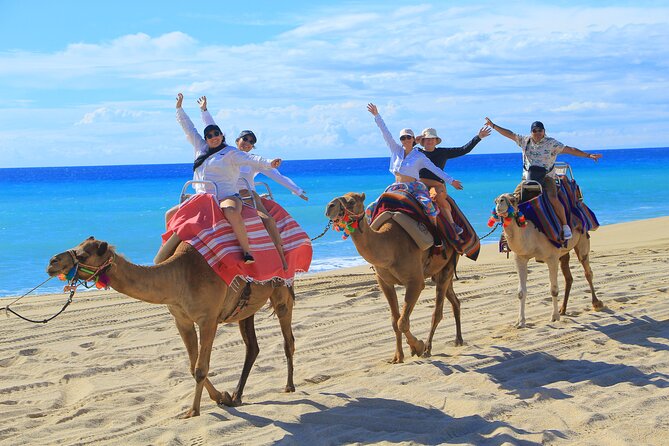 UTV Adventure with Free Camel Ride and Sky Bikes - Camel encounter and beach riding, where the day slows down