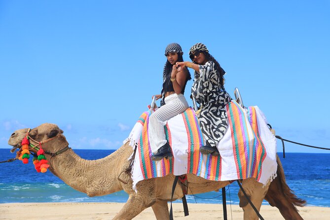 UTV Adventure with Free Camel Ride and Sky Bikes - Tequila tasting and photos, the part that can cost extra