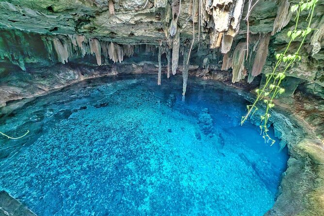 Uxmal, two Amazing Cenotes & Local Food Tour from Mérida - Key points to know before you go