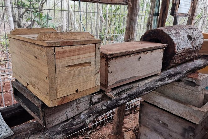 Valladolid Mayan Bees Tour with Lunch or breakfast and Honey Tasting - Meliponario time: hive process, honey coke, and opening a hive