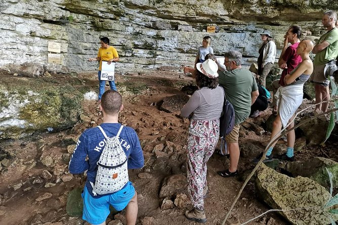 Valladolid Mayan Bees Tour with Lunch or breakfast and Honey Tasting - Breakfast or lunch at the park: included meals that make this easy to schedule