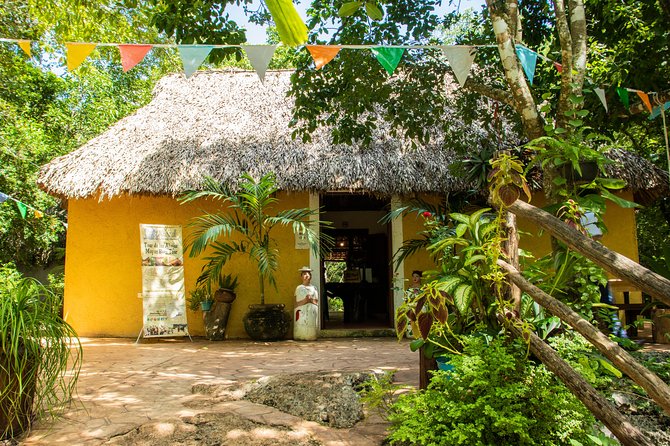 Valladolid Mayan Bees Tour with Lunch or breakfast and Honey Tasting - Practical tips that prevent hassles: shoes, repellent, and bee concerns