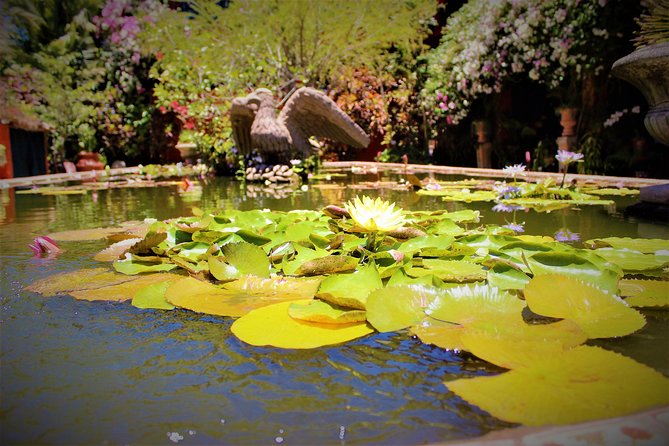 Vallarta Botanical Garden and Tequila Tasting from Puerto Vallarta - The lunch and food stop: what you should budget for