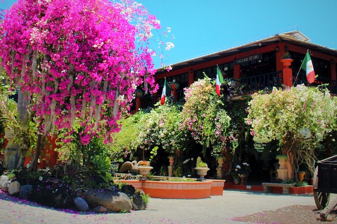 Vallarta Botanical Garden and Tequila Tasting from Puerto Vallarta - Who this tour is best for