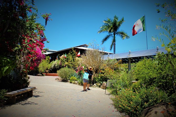 Vallarta Botanical Garden and Tequila Tasting from Puerto Vallarta - Jardin Botanico de Vallarta: native plants, birds, and that trail time