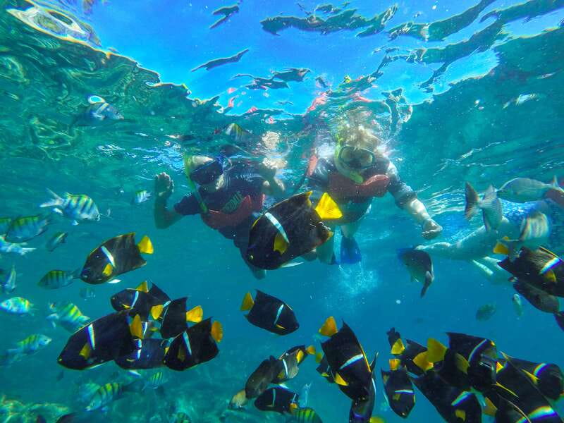 Vallarta: Yelapa Waterfall & Majahuitas Snorkel Adventure - A Catamaran Day Between Roadless Yelapa and Protected Majahuitas