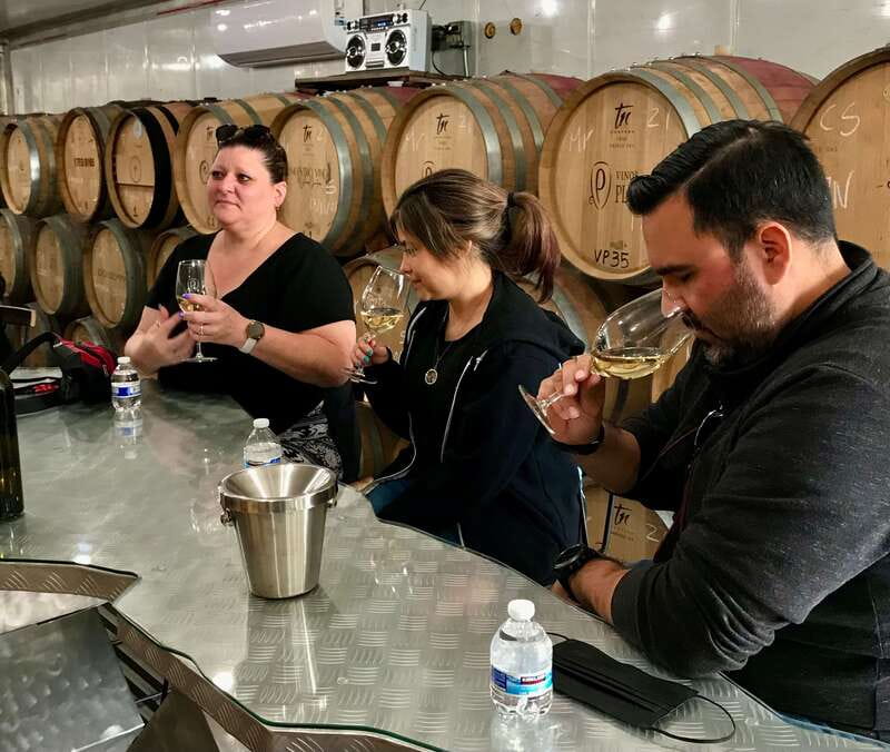 Valle de Guadalupe Wine Tasting Tour - Timing, Walking, and Getting the Most from the 7-Hour Schedule