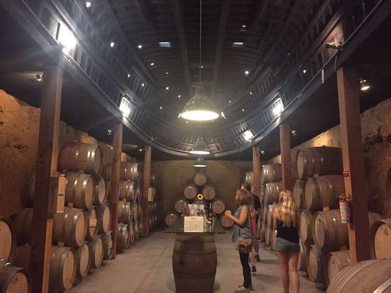 Valle de Guadalupe Wine Tasting Tour - Bodegas de Santo Tomás and Cava San Antonio de las Minas: A Strong First Impressions Stop