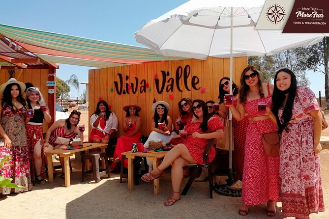 Valle de Guadalupe winery and brewery tours - Who This Tour Fits Best (and Who Might Not)