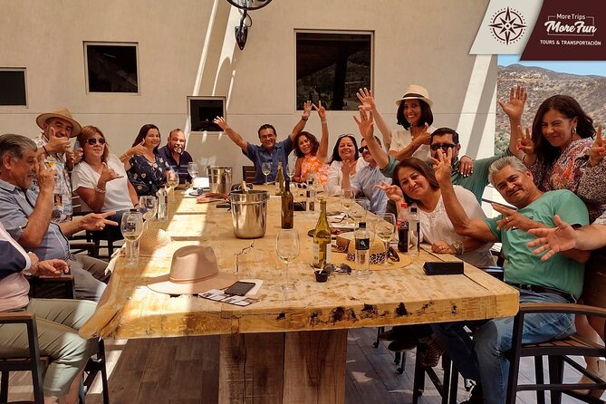Valle de Guadalupe winery and brewery tours - My Practical Checklist Before You Book