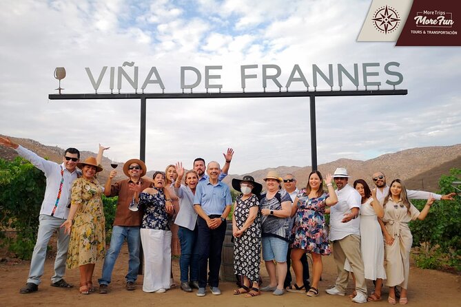 Valle de Guadalupe winery and brewery tours - Choosing Your Wineries in Guadalupe (and Keeping the Day Flexible)