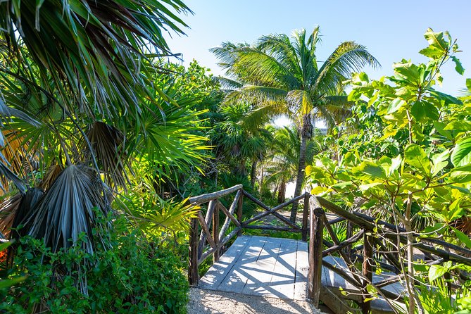 Viator Exclusive: Tulum Ruins, Reef Snorkeling, Cenote and Caves - What to Bring: Sun Rules, Shoes, and The Stuff That Makes You Comfortable