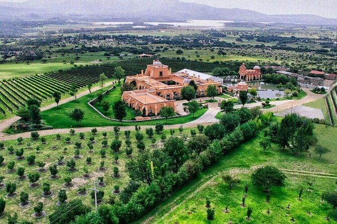 Vineyard, tour, tasting and fun in San Miguel de Allende - Key highlights