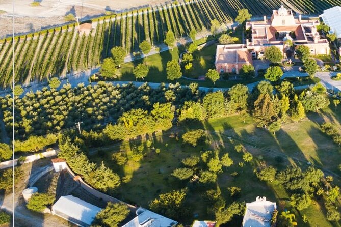 Vineyard, tour, tasting and fun in San Miguel de Allende - The Three-Wine Tasting: Cheese, Meat, Fruit, and the View
