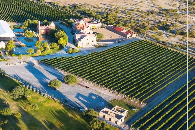 Vineyard, tour, tasting and fun in San Miguel de Allende - Logistics That Matter: Timing, Return Rides, and the Real-World Pace