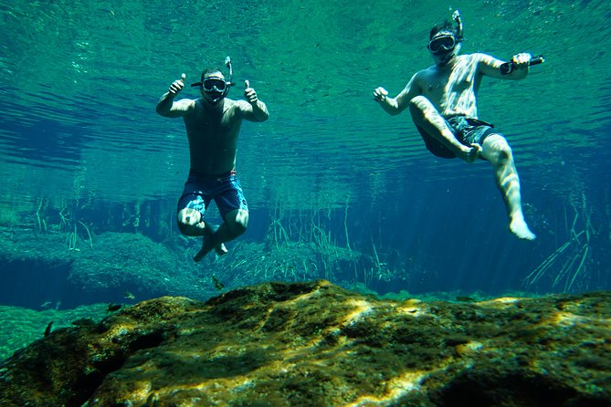 VIP Cenotes Private Tour - Cenote Xunaan Ha: Jumping, Swimming, and Big Cenote Fun