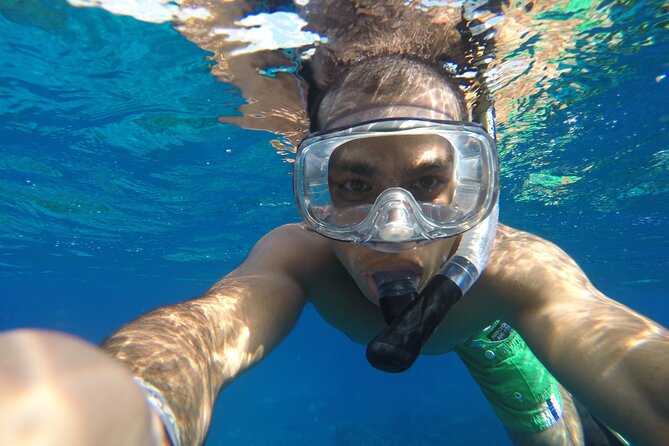 VIP Cenotes Private Tour (half-day) - The ceviche stop: what to plan for when lunch is not included