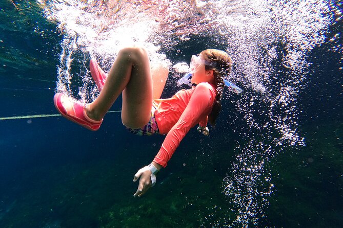 VIP Cenotes Private Tour (half-day) - Cenote Xunaan Ha: open-water jungle swimming and the joy of jumping in