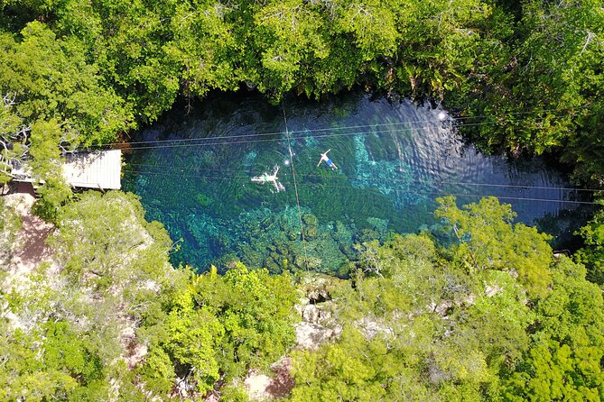 VIP Cenotes & Turtles Private Tour - What to expect from the schedule, stop by stop