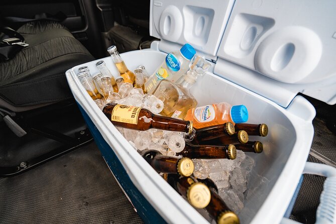 Vip Tequila Experience - Pickup, Ride Comfort, and Timing That Helps You Avoid the Worst of Guadalajara Traffic