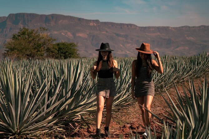 Vip Tequila Experience - What’s Included, What’s Not, and Where the Real Value Comes From