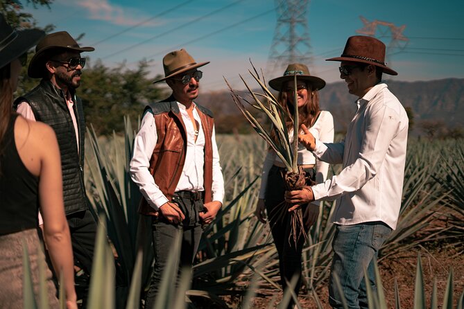 Vip Tequila Experience - Who This Tour Suits Best, and Who Might Want a Different Plan