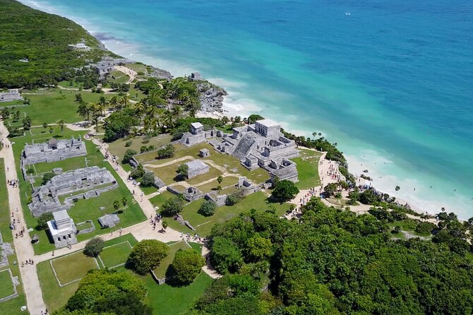 VIP Tulum & Turtles Private Tour - Akumal Beach Sea Turtles: The Part You Will Remember