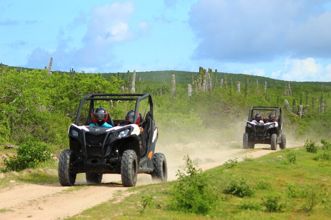 Viper Trail UTV Small-Group Experience in Cabo San Lucas - Key highlights worth knowing