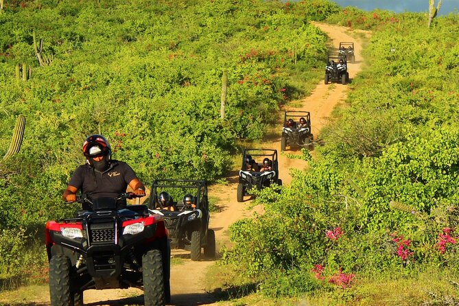 Viper Trail UTV Small-Group Experience in Cabo San Lucas - Can-Am 800 two-seaters, safety gear, and staying safe on dust