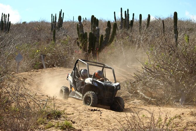 Viper Trail UTV Small-Group Experience in Cabo San Lucas - Snacks after the dust: what’s included and why it matters