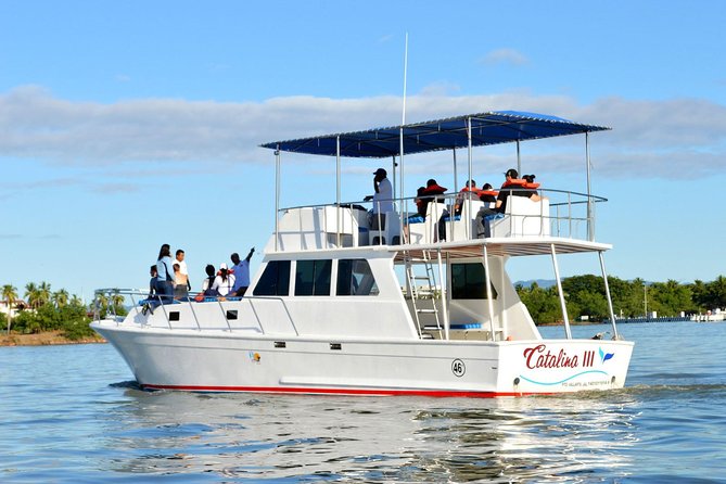 Whale & Dolphin Watching Cruise in Puerto Vallarta All Inclusive - Who this cruise suits best (and who should rethink it)