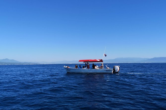 Whale Encounter Puerto Vallarta - Comfort on the Boat: Sun, Shade, and the Wet-Boat Reality