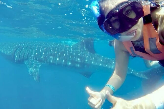 Whale Shark Adventure in Isla Mujeres and Cancun - Seasickness, Sun Protection, and Getting Back on the Boat