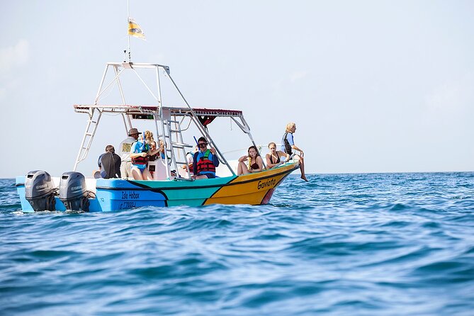 Whale Shark and Snorkeling Adventure from Isla Holbox - Whale Shark Swimming: Pair Time, Expert Guidance, and What to Expect