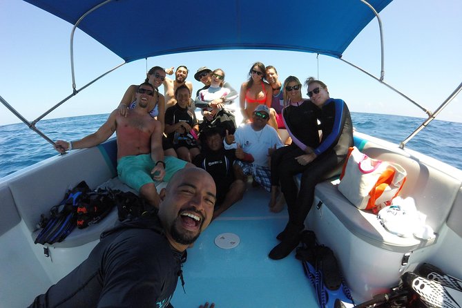 Whale Shark Encounter Full-Day all inclusive Tour from Riviera Maya - Swimming whale sharks from Playa del Carmen, the Punta Sam way