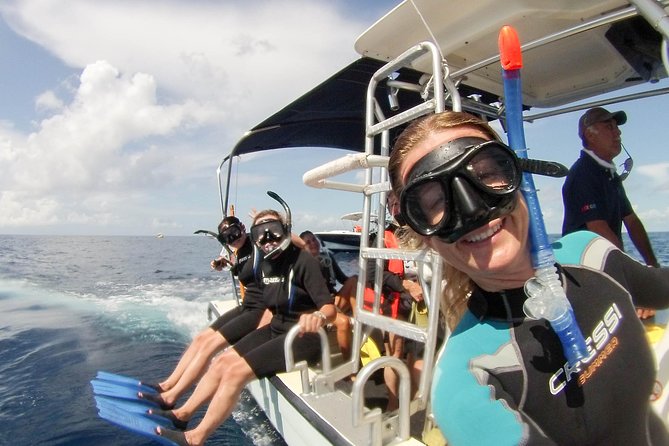 Whale shark encounter Private tour - swim with whale shark cancun - Gear, safety, and the guide team people trust with their nerves