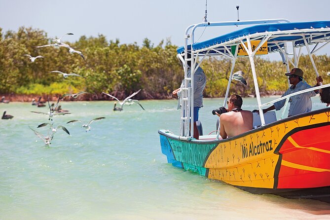 Whale Shark Group Adventure from Isla Holbox - The whale shark moment: two at a time, guide-led and respectful