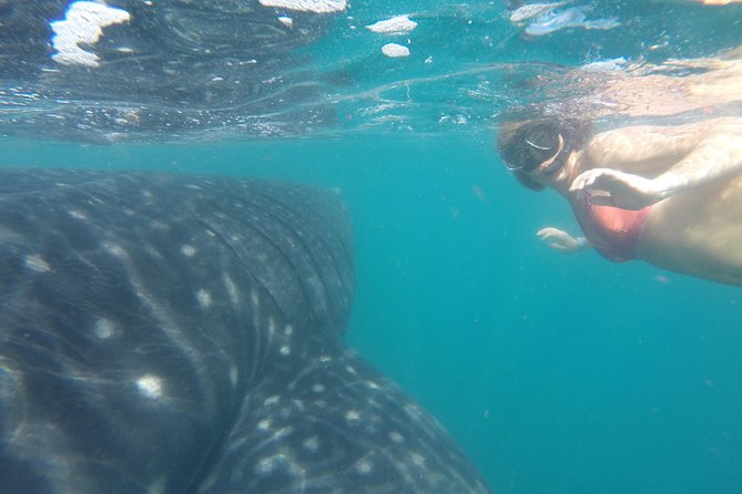 Whale-Shark Snorkeling Excursion to La Paz - Heading back, with a stop in Todos Santos