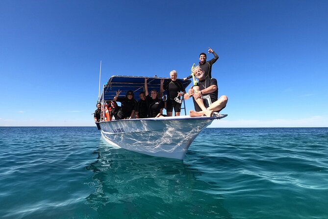 Whale Shark Snorkeling Experience from Cancun and Riviera Maya - Whale shark snorkeling: what the swim is actually like