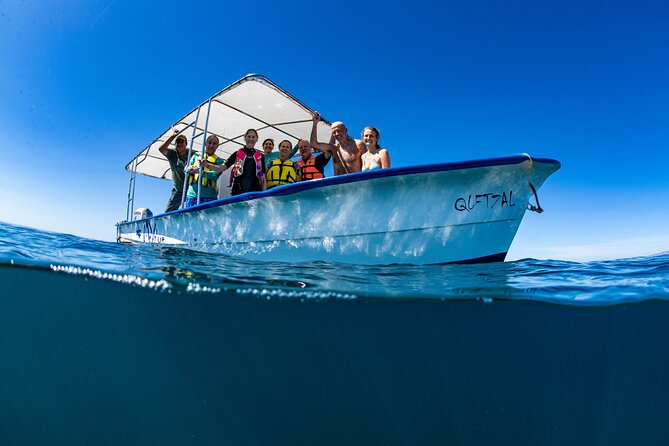Whale Shark snorkeling tour in a reduced group with local marine biologist - Key things you’ll notice on this whale shark snorkel