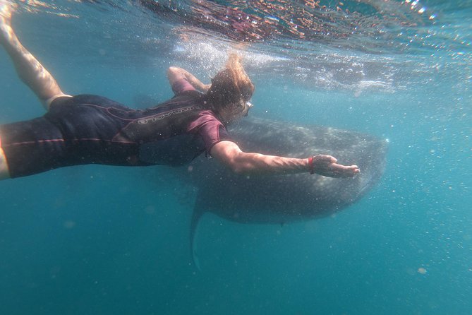 Whale Shark Swim Adventure in La Paz - Snacks, water, and alcohol after the swim