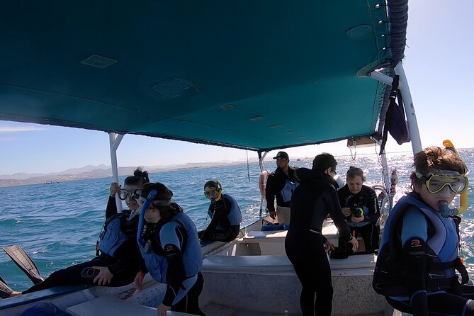 Whale Shark Swimming Adventure: Small Group with Marine Biologist - Meeting at Mutualismo and getting fitted for the swim