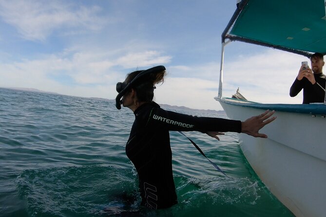 Whale Shark Swimming Adventure: Small Group with Marine Biologist - Reality check: weather, visibility, and whale shark behavior