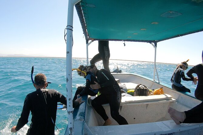 Whale Shark Swimming Adventure: Small Group with Marine Biologist - Finding whale sharks: what you’ll actually do on the hunt