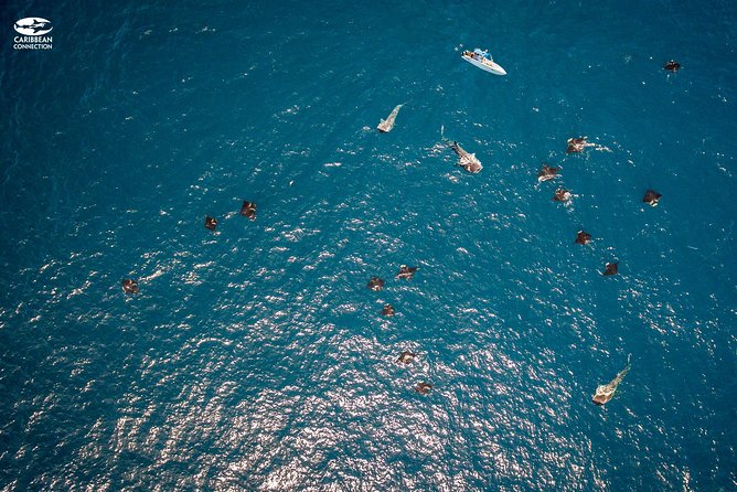 Whale Shark Swimming and Isla Mujeres Beach Tour - The Isla Mujeres beach break at Playa Norte