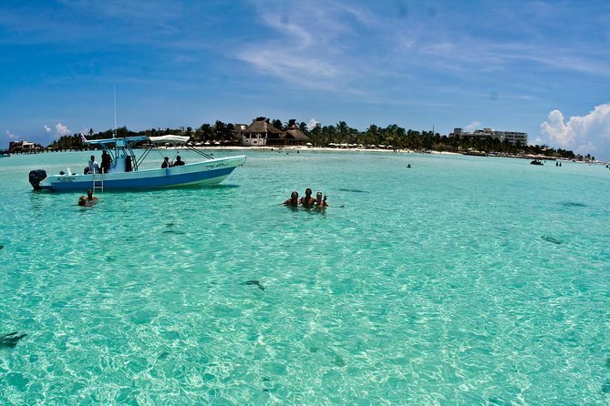Whale Shark Tour from Cancun, Playa del Carmen, Tulum and Riviera Maya - Wetsuits, photos, and what to spend money on